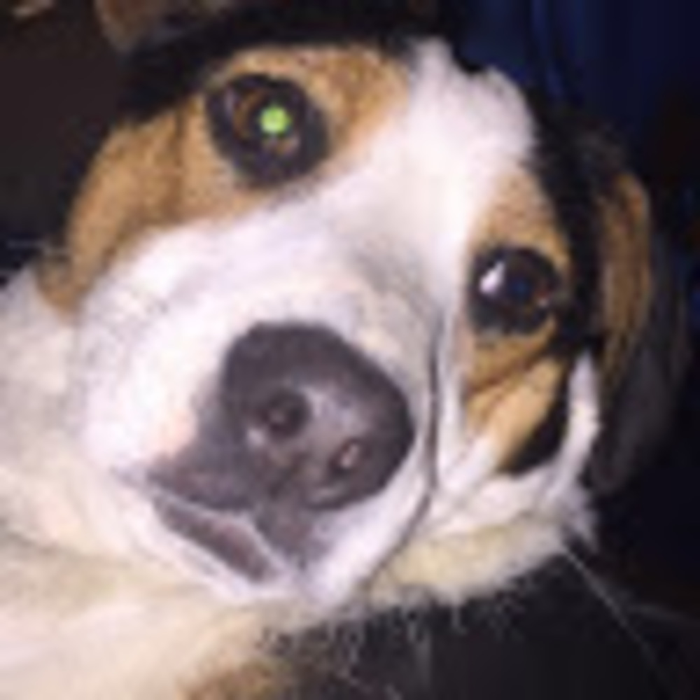 Meet your Posher, Tator